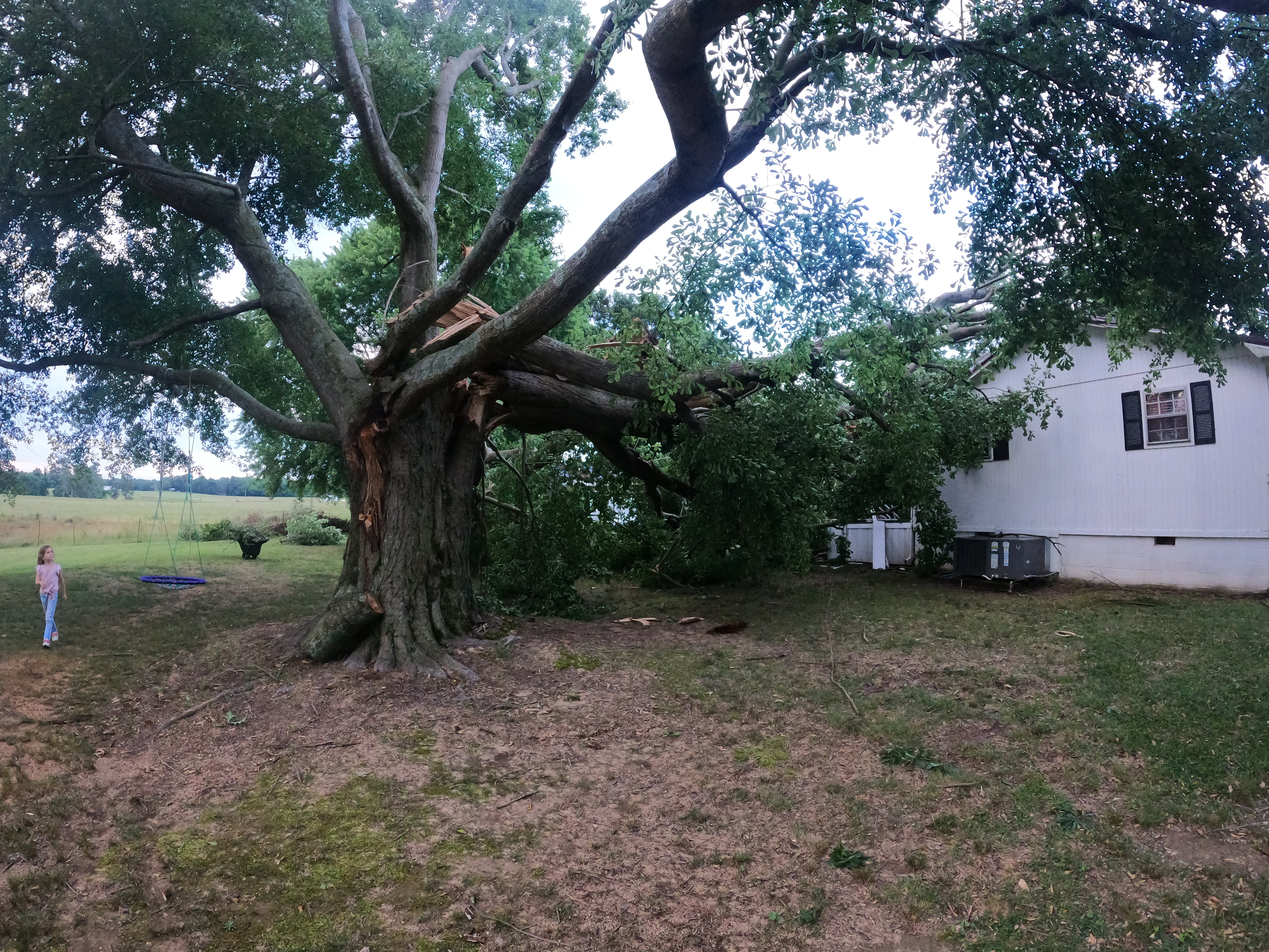Tree Previous Failure Late Winter Is When Most Tree Failures Begin — Not During the Storm ...