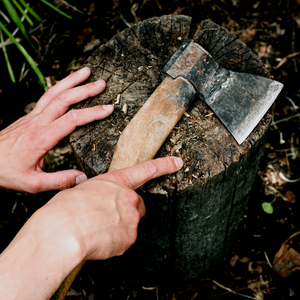 Arborist Consultation